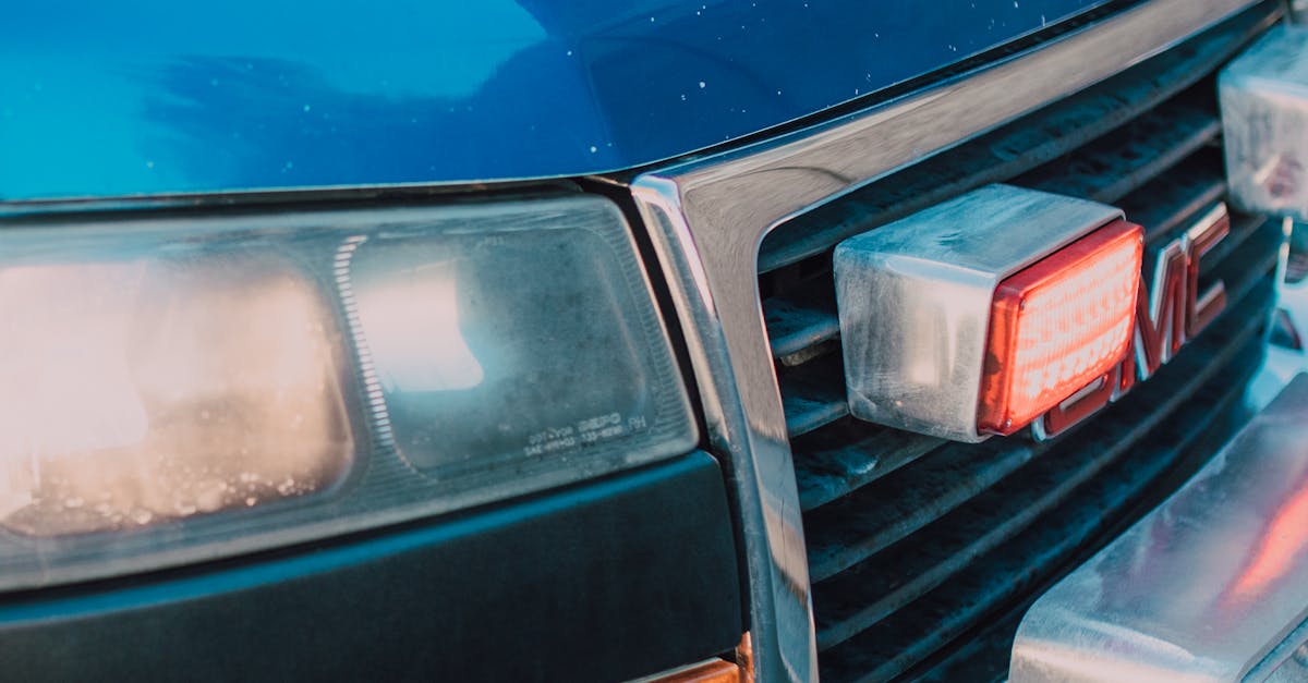 The Impact of Tree Roots on Local Drainage Systems