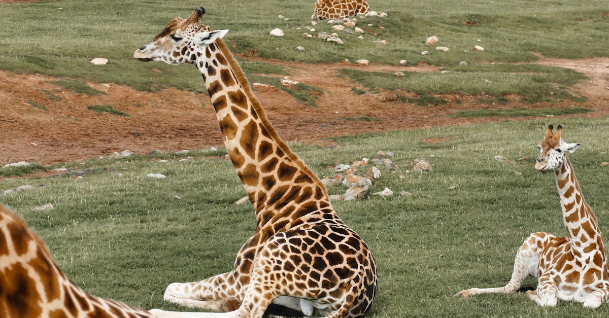 Understanding the Benefits of 24-Hour Plumbing Services for Adelaide Residents