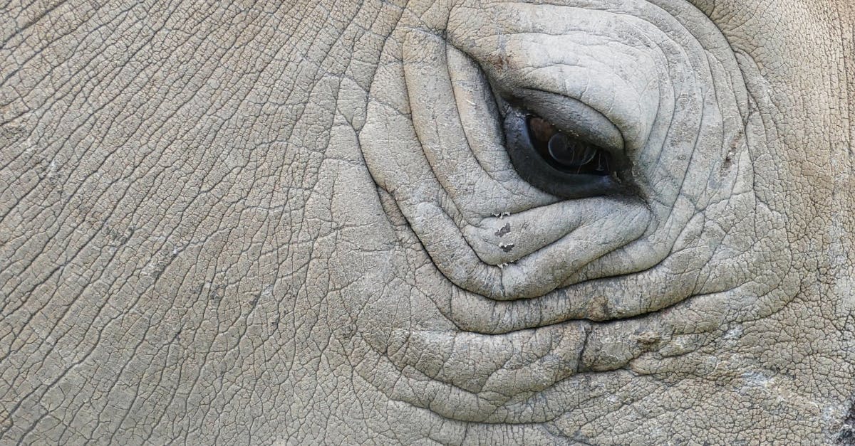 What Constitutes a Plumbing Emergency and How to Recognise It