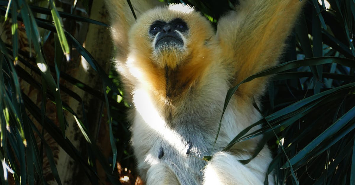 What to Expect During a Gas Leak Repair Service